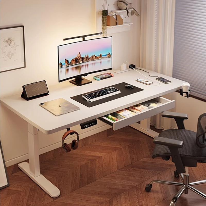 Modern Iron Dual Motor Electri - Dual Monitor Desk Setup avis et prix