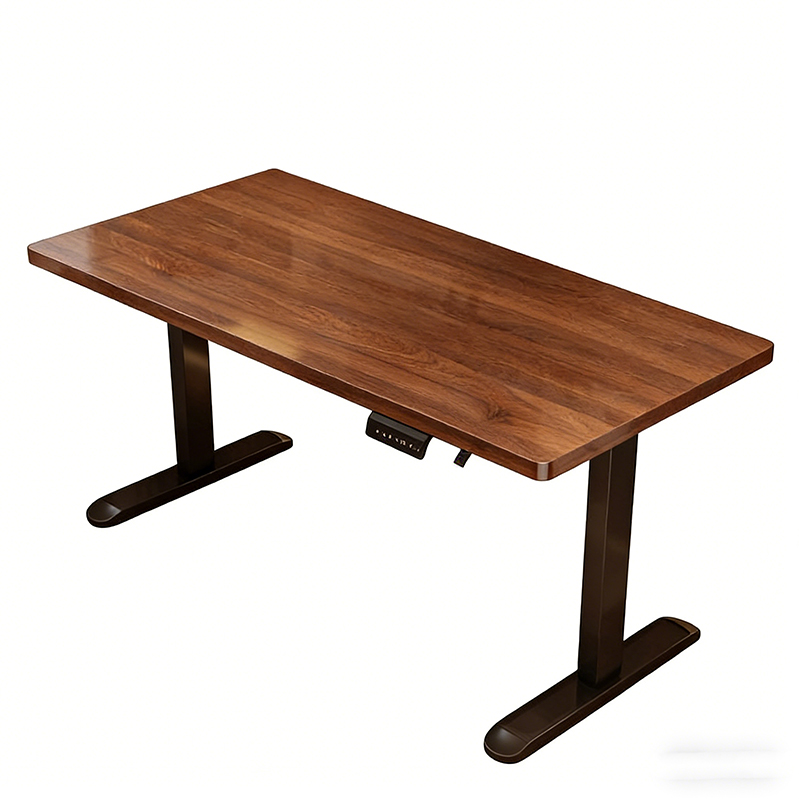 Modern Iron Dual Motor Electri - Dual Monitor Desk Setup avis et prix