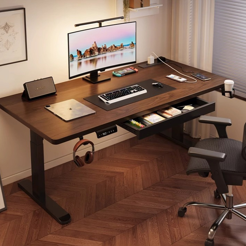 Modern Iron Dual Motor Electri - Dual Monitor Desk Setup avis et prix