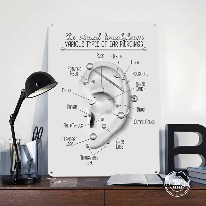 Ear Piercing Chart Metal Poste - Desk Setup Poster avis et prix