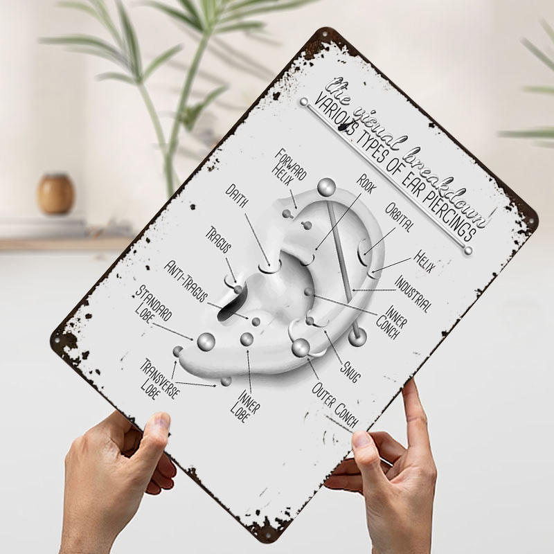 Ear Piercing Chart Metal Poste - Desk Setup Poster avis et prix
