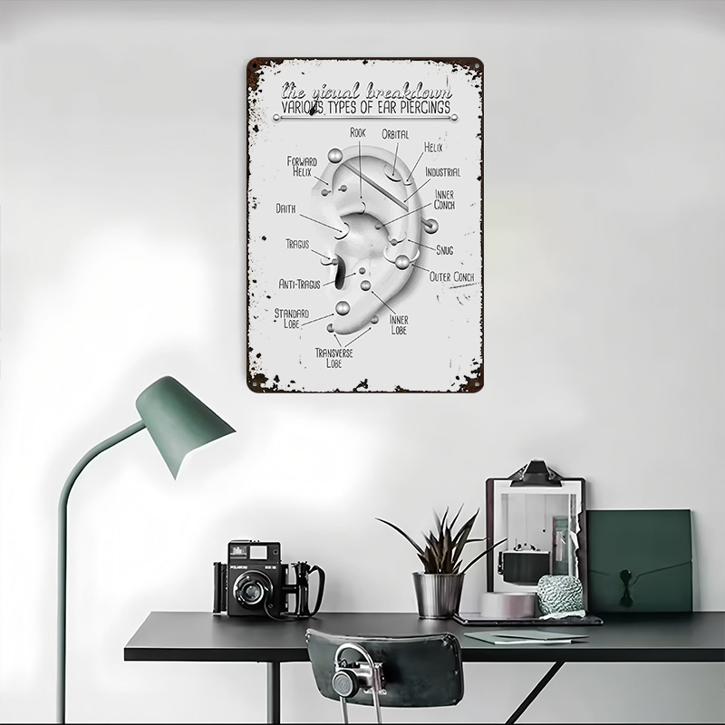 Ear Piercing Chart Metal Poste - Desk Setup Poster avis et prix